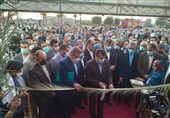 گشایش نمایشگاه بین‌المللی خرما و صنایع وابسته در بوشهر/ همه متخصص‌ها دو هم جمع شدند