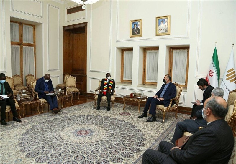 FM Underlines Iran’s Resolve to Boost Ties with African Nations