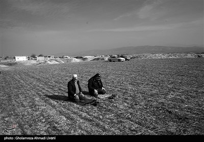 محل برگزاری کشتی سنتی ترکمن ها