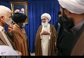 دیدار جمعی از نمایندگان مجلس با مراجع تقلید و علمای قم