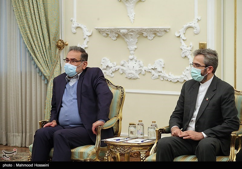 علی باقری معاون وزیر امور خارجه و علی شمخانی دبیر شورای عالی امنیت ملی