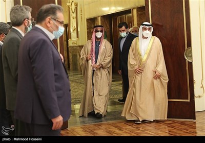 شیخ طحنون بن زاید مشاور امنیت ملی امارات متحده عربی
