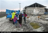 توزیع گوشت گرم  در بین نیازمندان در مناطق محروم گرگان