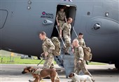 افشاگری کارمند وزارت خارجه انگلیس: در روند خروج از افغانستان به حیوانات اولویت داده شد