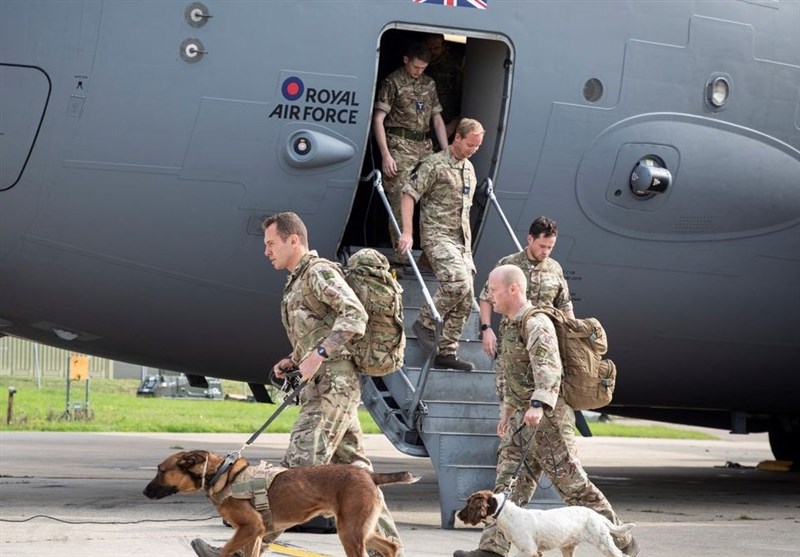 افشاگری کارمند وزارت خارجه انگلیس: در روند خروج از افغانستان به حیوانات اولویت داده شد
