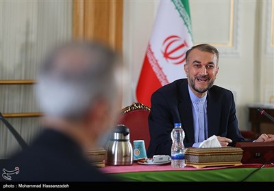  امیرعبداللهیان در دومین نشست دبیران کارگروه های تخصصی شورای عالی امور ایرانیان خارج از کشور