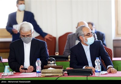 دومین نشست دبیران کارگروه های تخصصی شورای عالی امور ایرانیان خارج از کشور