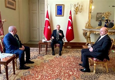  جزئیات دیدار قالیباف و اردوغان/ تاکید بر توسعه روابط ایران و ترکیه 