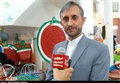 438 میلیارد ریال برای اجرای طرح‌های اشتغال‌زایی به استان بوشهر ابلاغ شد + فیلم