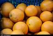 پرتقال در بازار فراوان شد/ عقب نشینی قیمت پرتقال تا نرخ‌های 5 سال پیش