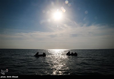 IRGC Commandos Participate in Massive Military Exercise along Southern Shores