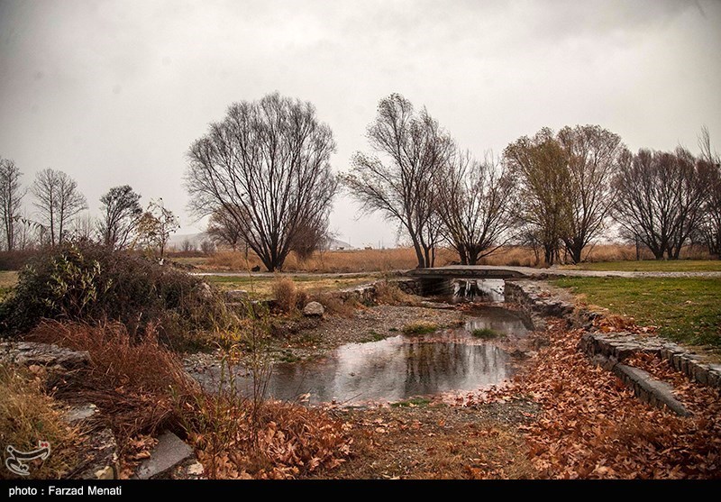 بارش باران ‌در چهل‌و‌هشتمین روز از فصل پاییز/‌ خوشحالی کشاورزان استان فارس از بارش‌ها