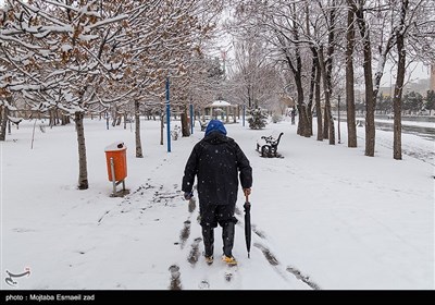 بارش اولین برف زمستانی در ارومیه