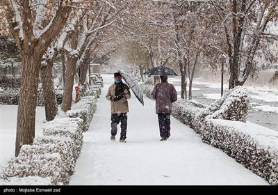 بارش اولین برف زمستانی در ارومیه