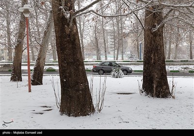 بارش اولین برف زمستانی در ارومیه