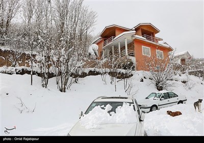  هواشناسی ایران ۱۴۰۲/۱۲/۰۲؛ ورود سامانه بارشی از شنبه/ برف و باران ایران را فرا می‌گیرد 