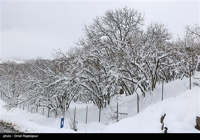 بارش برف سنگین در منطقه گردشگری اشکورات گیلان
