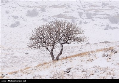 الطبیعة الشتویة فی جزر بحیرة أرومیه