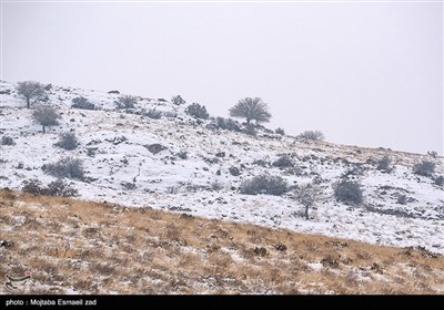 الطبیعة الشتویة فی جزر بحیرة أرومیه