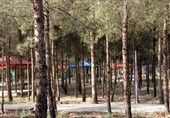 11 پارک جنگلی استان کرمانشاه برون‌سپاری می‌شوند