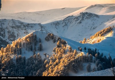 Iran's Beauties in Photos: Winter in Gilan Province