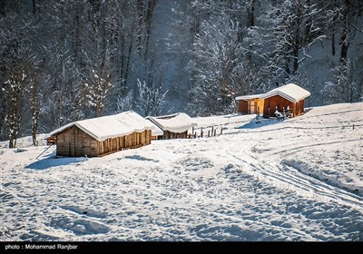 Iran's Beauties in Photos: Winter in Gilan Province