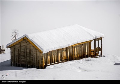 Iran's Beauties in Photos: Winter in Gilan Province