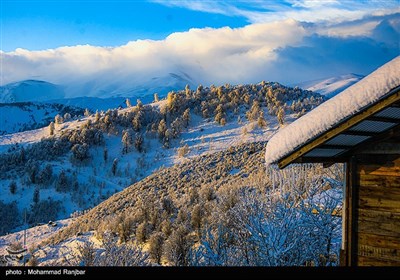 Iran's Beauties in Photos: Winter in Gilan Province