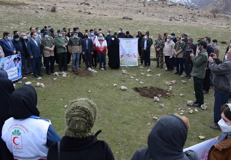 پویش بزرگ نهال‌کاری برای ایران سرسبز در کرمانشاه آغاز شد