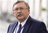 Russian Envoy Hails Emergence of New Triangular in Multilateral Diplomacy