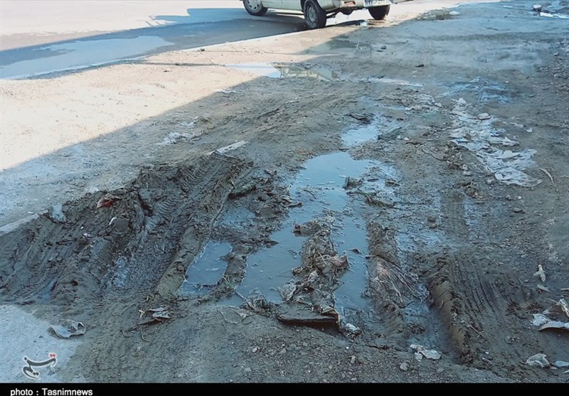 بندرعباس،محلات،گزارش