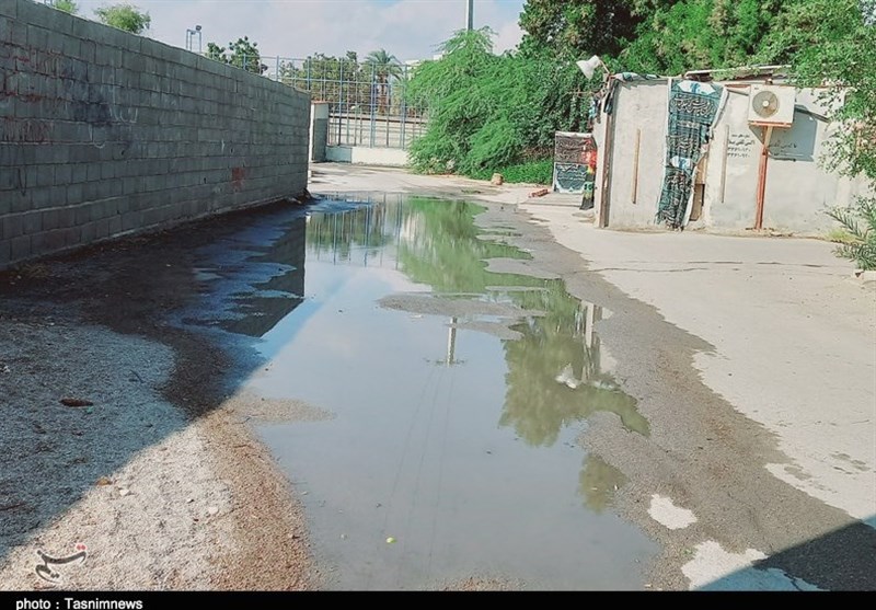 بندرعباس،محلات،گزارش