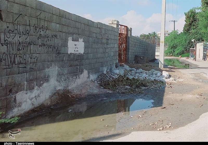 بندرعباس،محلات،گزارش