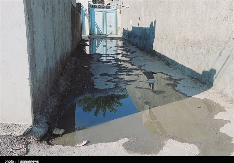 بندرعباس،محلات،گزارش