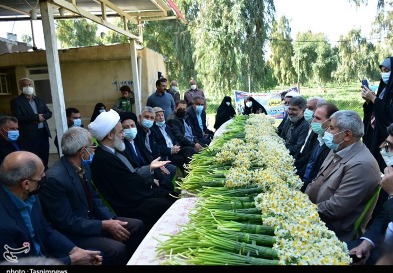 اهدای هزاران شاخه گل نرگس بهبهان به آستان مقدس امام حسین(ع) و حضرت ابوالفضل(ع) + تصاویر