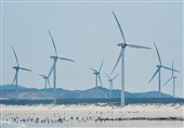 چین یک مزرعه بادی با ظرفیت تولید برق 240 مگاوات راه‌اندازی کرد