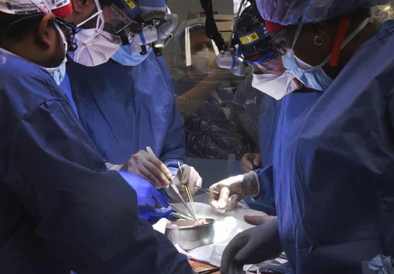 Surgeons Transplant Animal Heart into Human Patient for First Time
