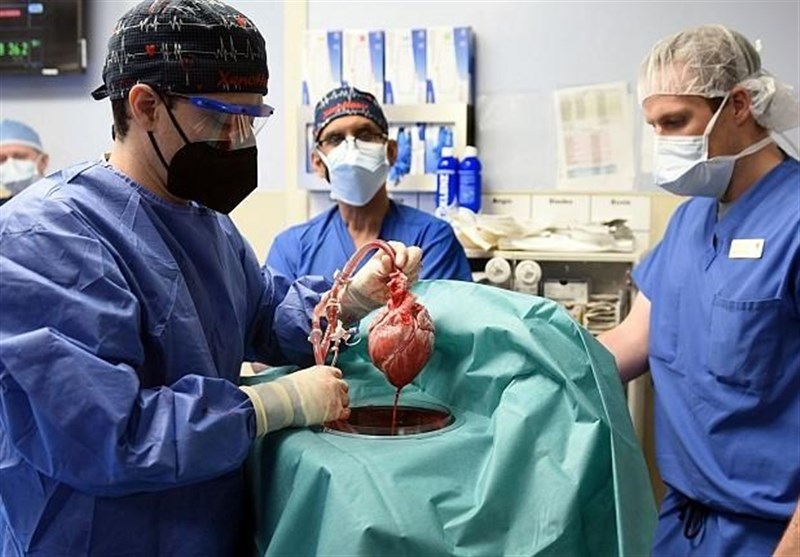 نخستین دریافت‌کننده قلب خوک پس از 2 ماه درگذشت
