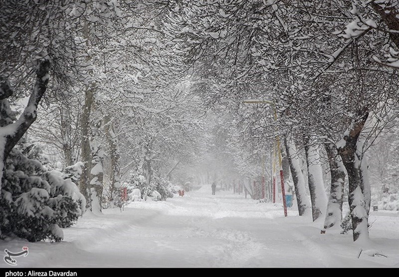 بارش بی‌سابقه برف در اردبیل از دریچه دوربین تسنیم- اخبار اردبیل - اخبار  استانها تسنیم | Tasnim