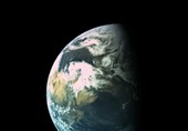 ‘Sixth Mass Extinction’ Already in Process, Scientists Warn
