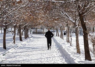 بارش برف در ارومیه