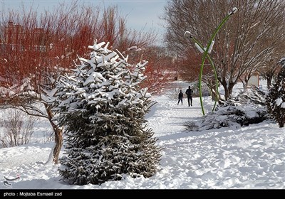 بارش برف در ارومیه