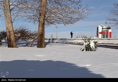 بارش برف در ارومیه