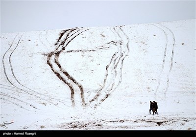 بارش برف در ابهر - زنجان