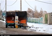 بحران مدیریت در نخستین بارش برف/ شهر زنجان در زیر برف و مسئولان در خواب زمستانی به سر می‌برند