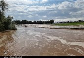 حق‌آبه تالاب‌های فلات مرکزی در مدیریت سیلاب فراموش نشود