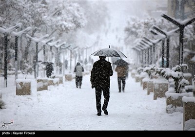 بارش برف در سنندج