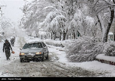 خسارت های ناشی از بارش برف - سنندج