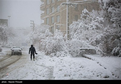  آخرین اخبار از بارش‌های استان لرستان| ۹۳۴ روستا در محاصره برف قرار دارند/ یخ‌زدگی شدید معابر شهری/ کولاک منطقه را در‌بر گرفت 