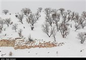پیش‌بینی بارش 40 سانتی‌متر برف در استان گلستان/ مردم از سفرهای غیرضروری خودداری کنند